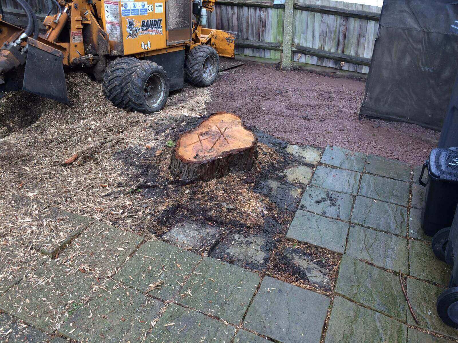 Tree Surgeons Rotherhithe SE16